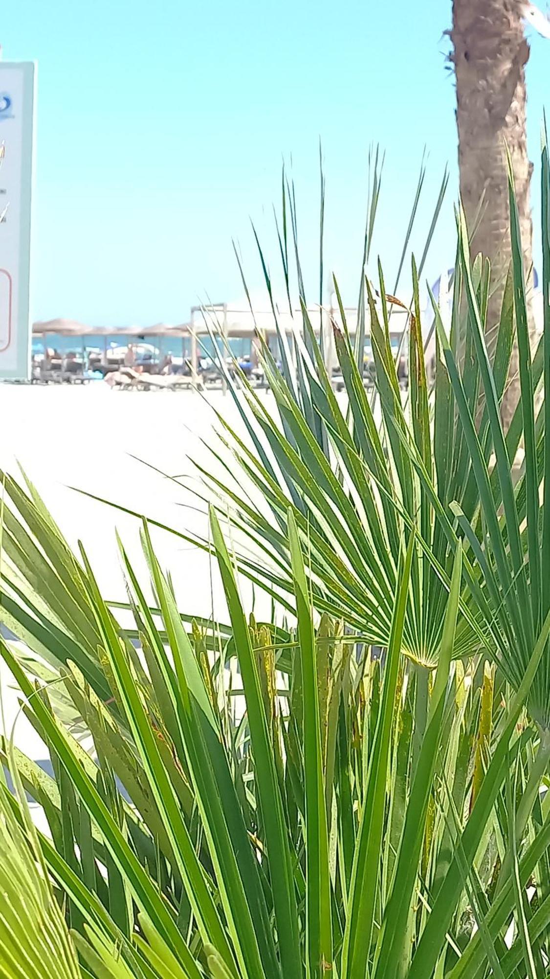 Luxury Promenada Apartment - Frontal Beachfront Mamaia Nord Navodari Exterior photo